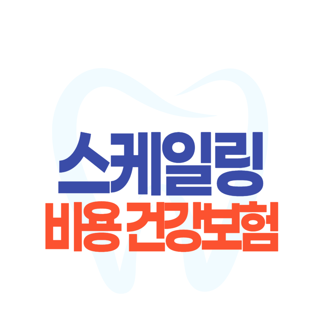 스케일링 비용 건강보험