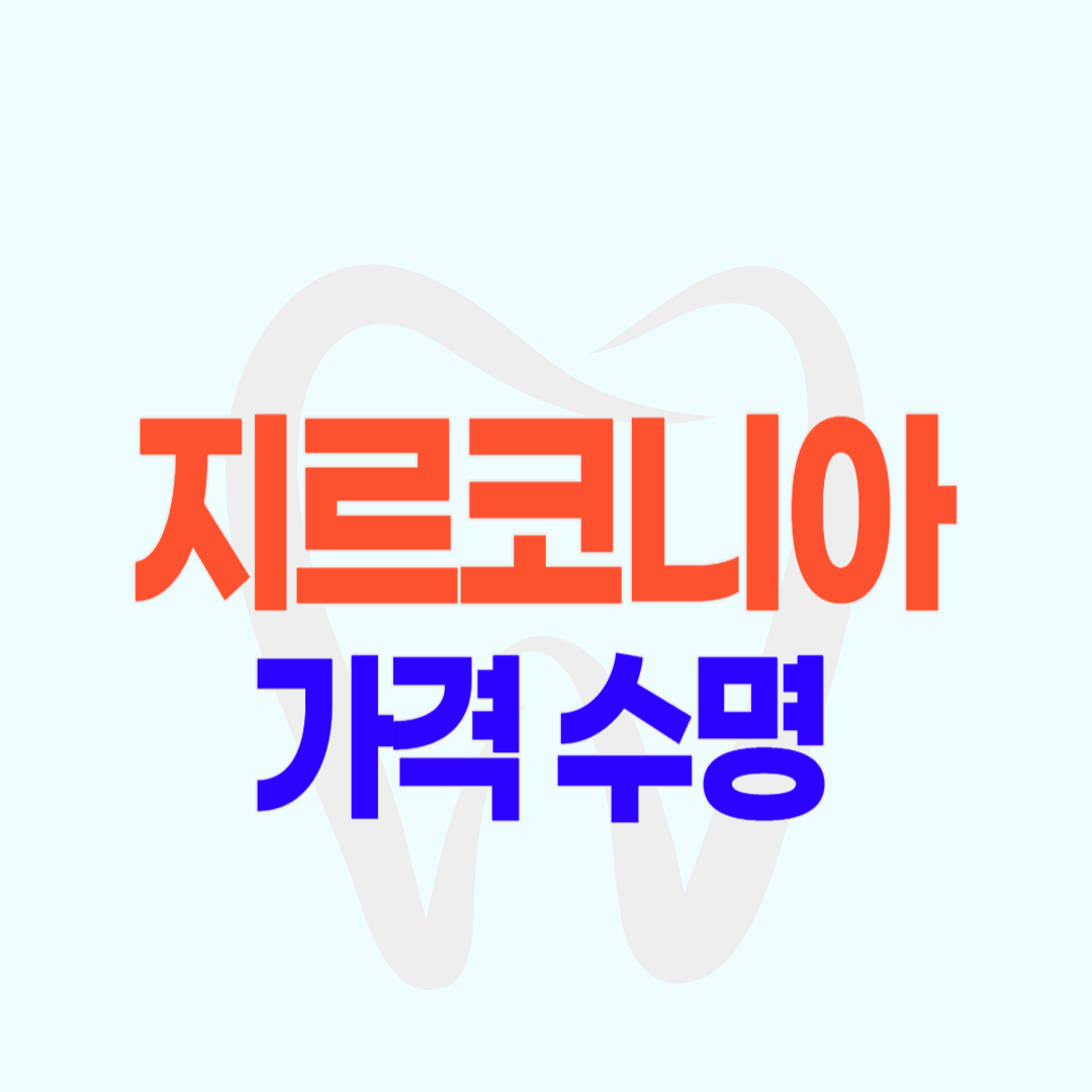 지르코니아 가격