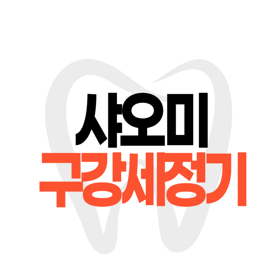 샤오미 구강세정기