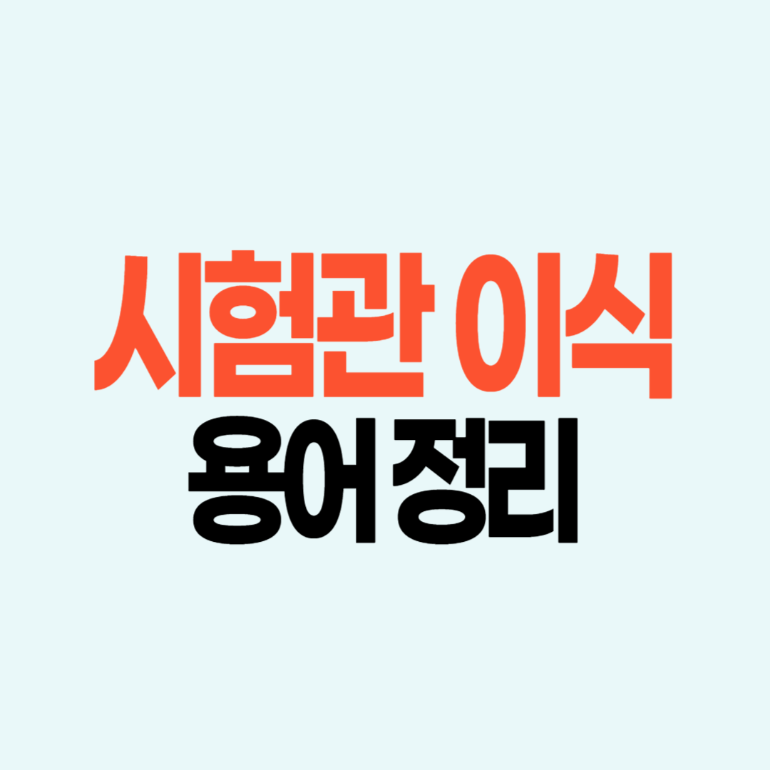 시험관 배아 이식
