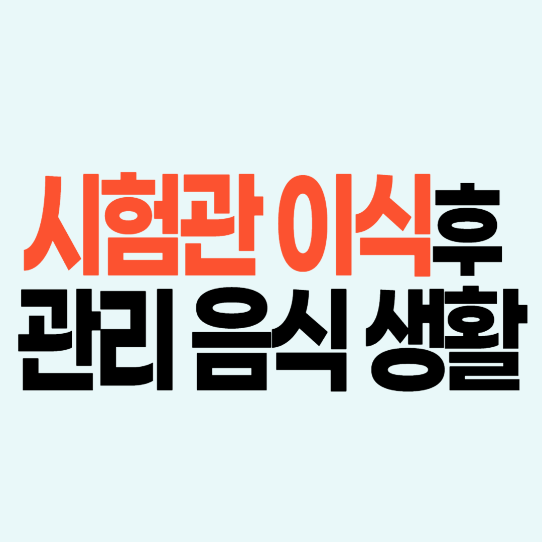 시험관 이식 후