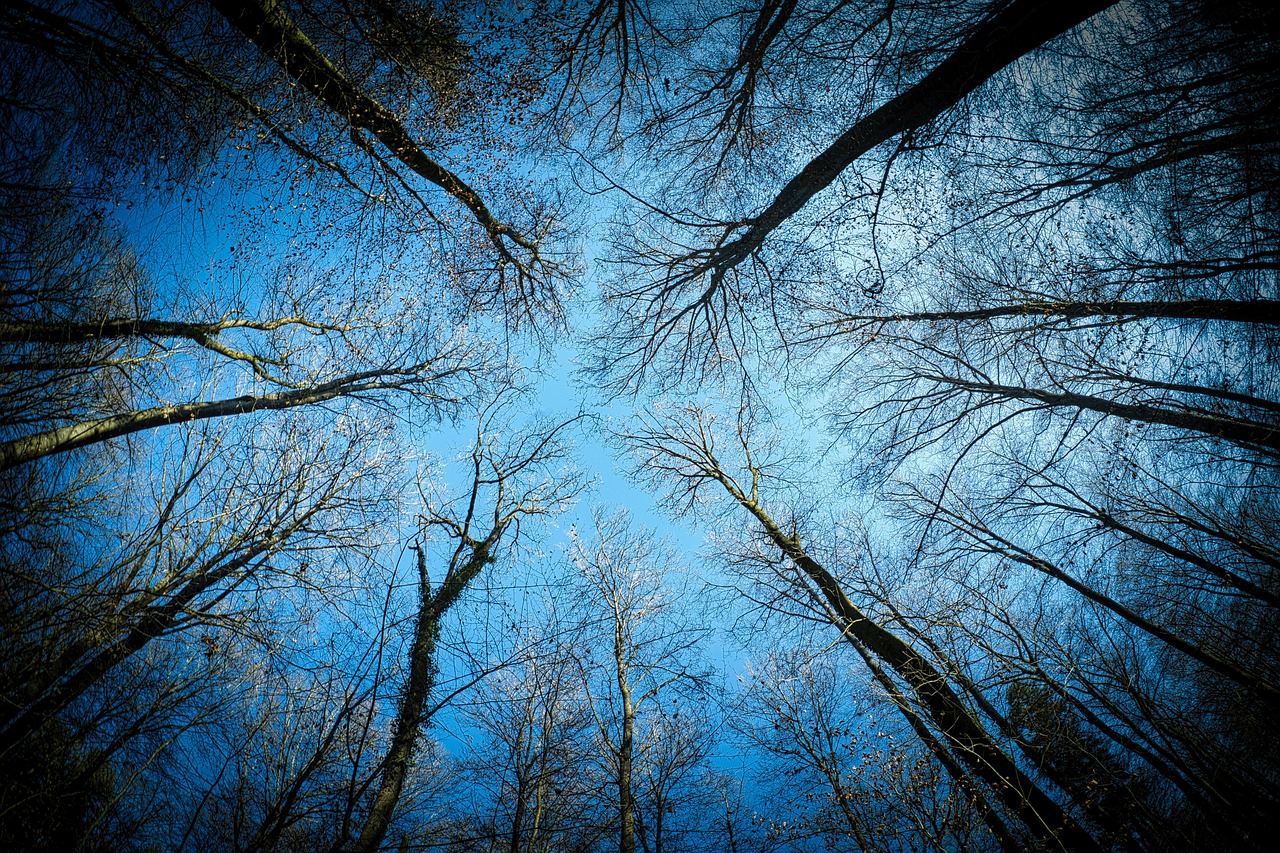 임플란트 크라운 빠짐 잇몸