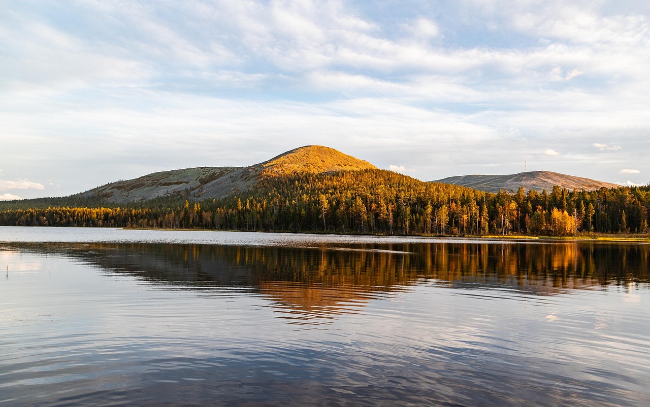 임플란트 장단점