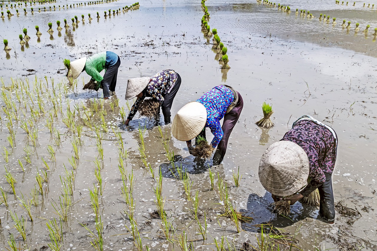 구미 임플란트 치과