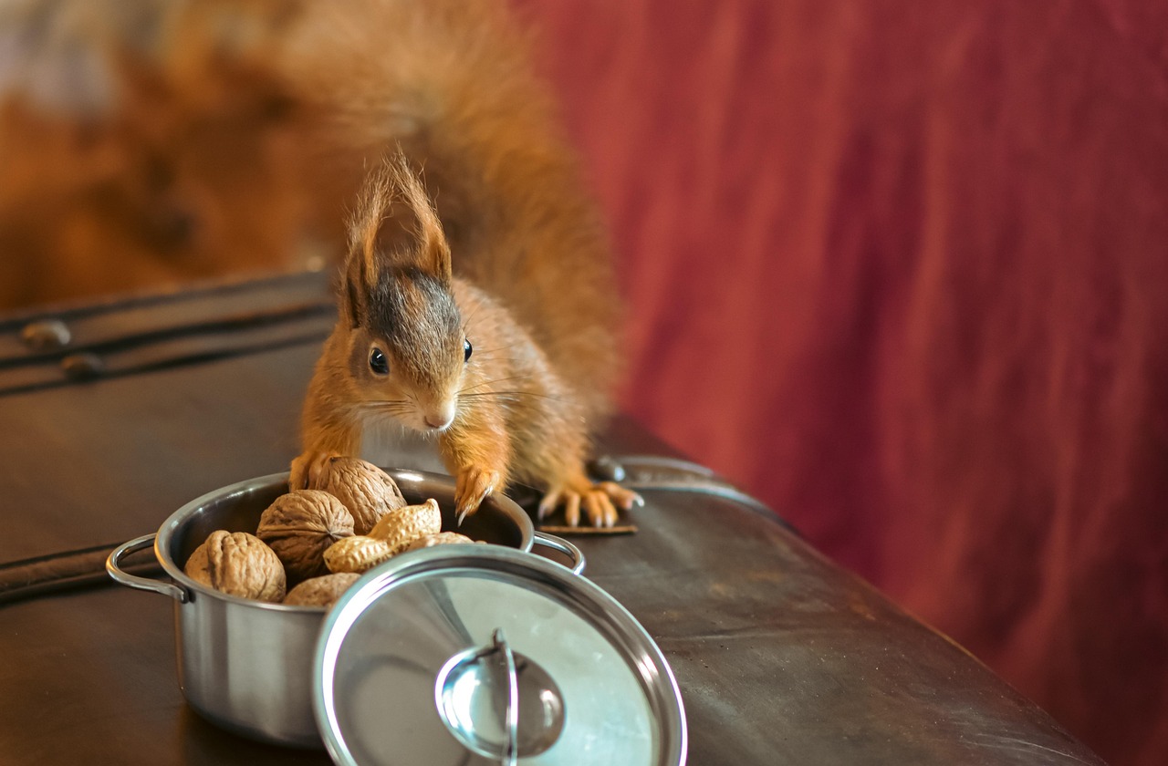알뜰폰 복지할인