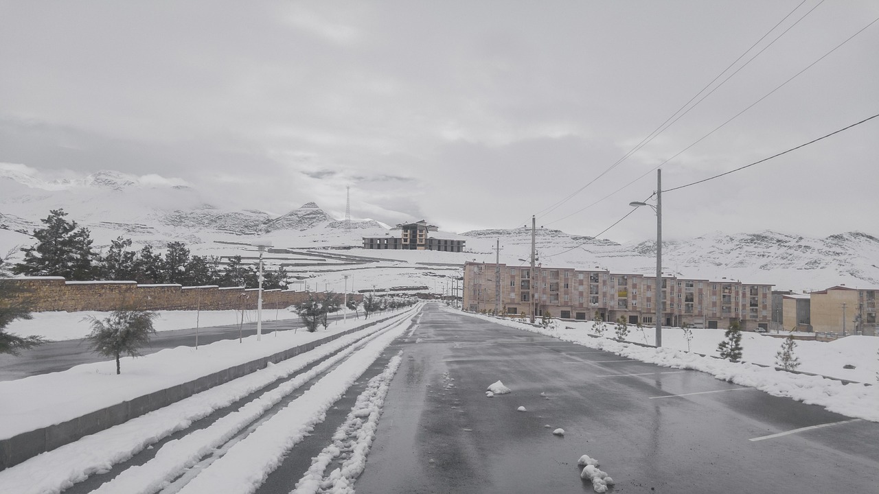 lg u플러스 알뜰폰 로밍 해지